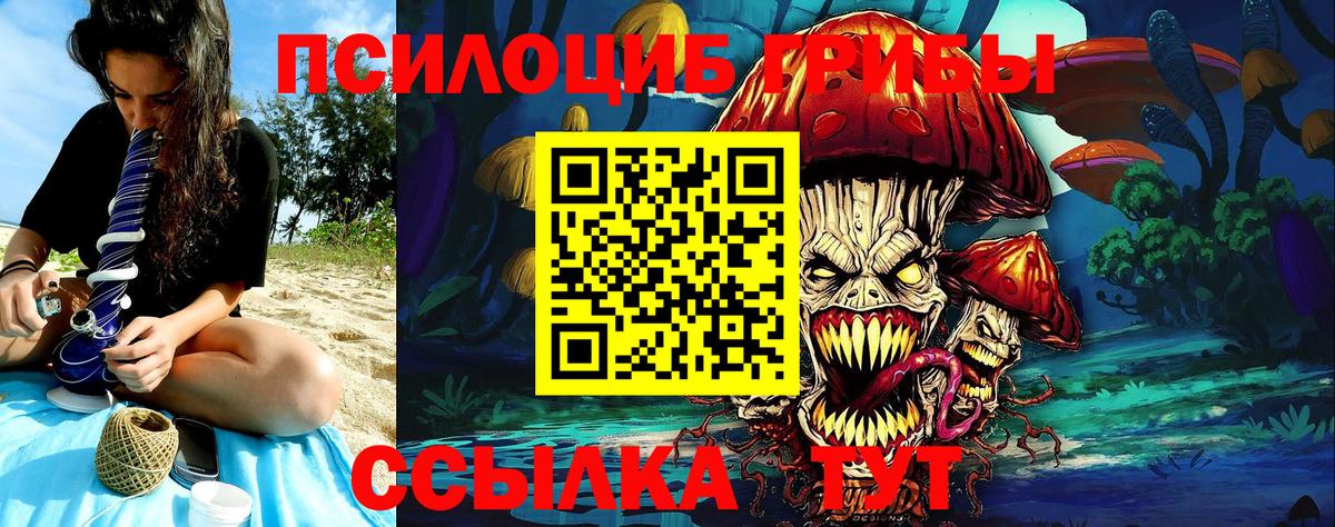 Псилоцибиновые грибы мухоморы  Вход с VPN  Менделеевск  Галлюциногенные грибы мухоморы 