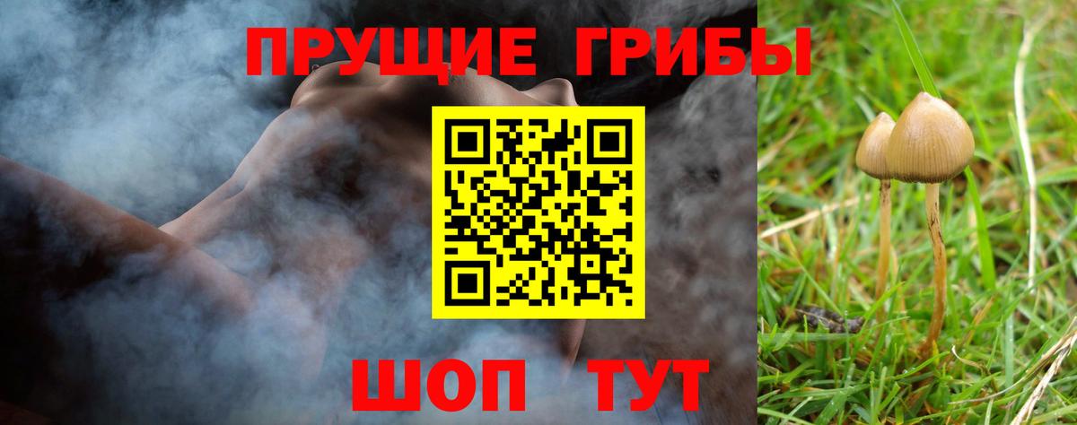 Псилоцибиновые грибы мицелий Менделеевск